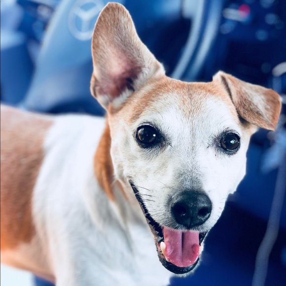 Meet your Posher, Liz - Picture 1 of 1